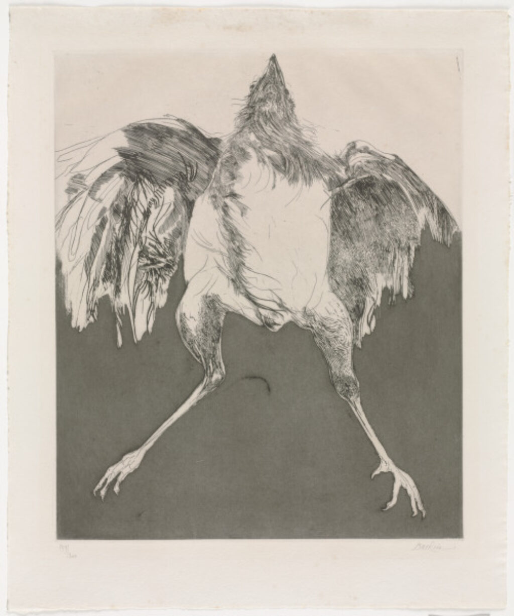 Untitled (Bird)