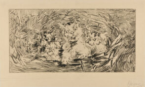 Mother Cat and Kittens