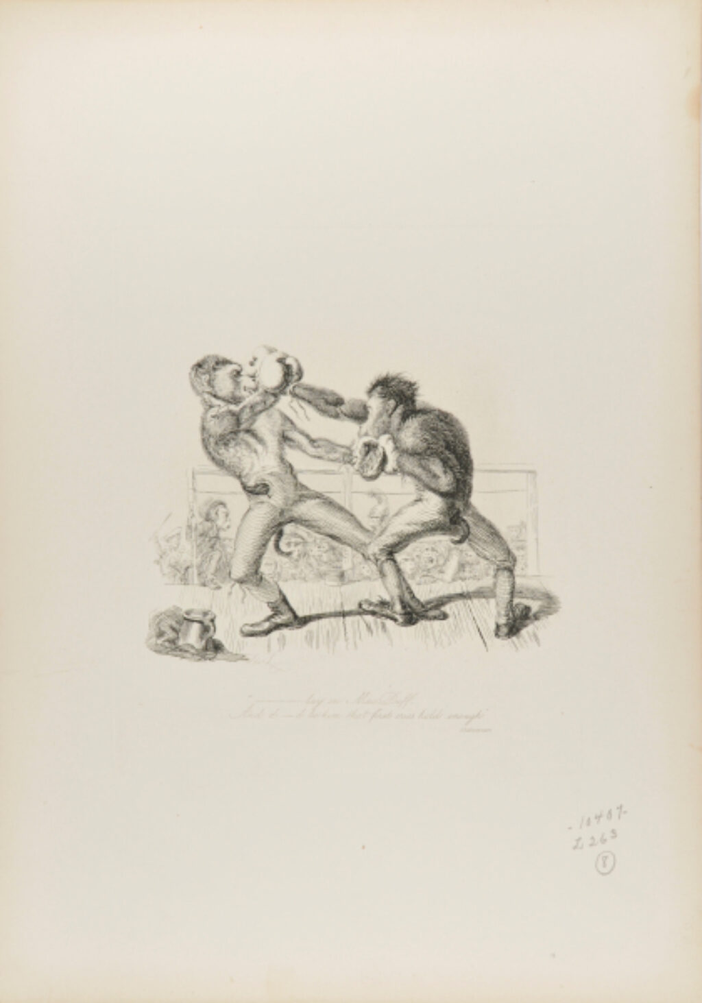 “–lay on MacDuff”