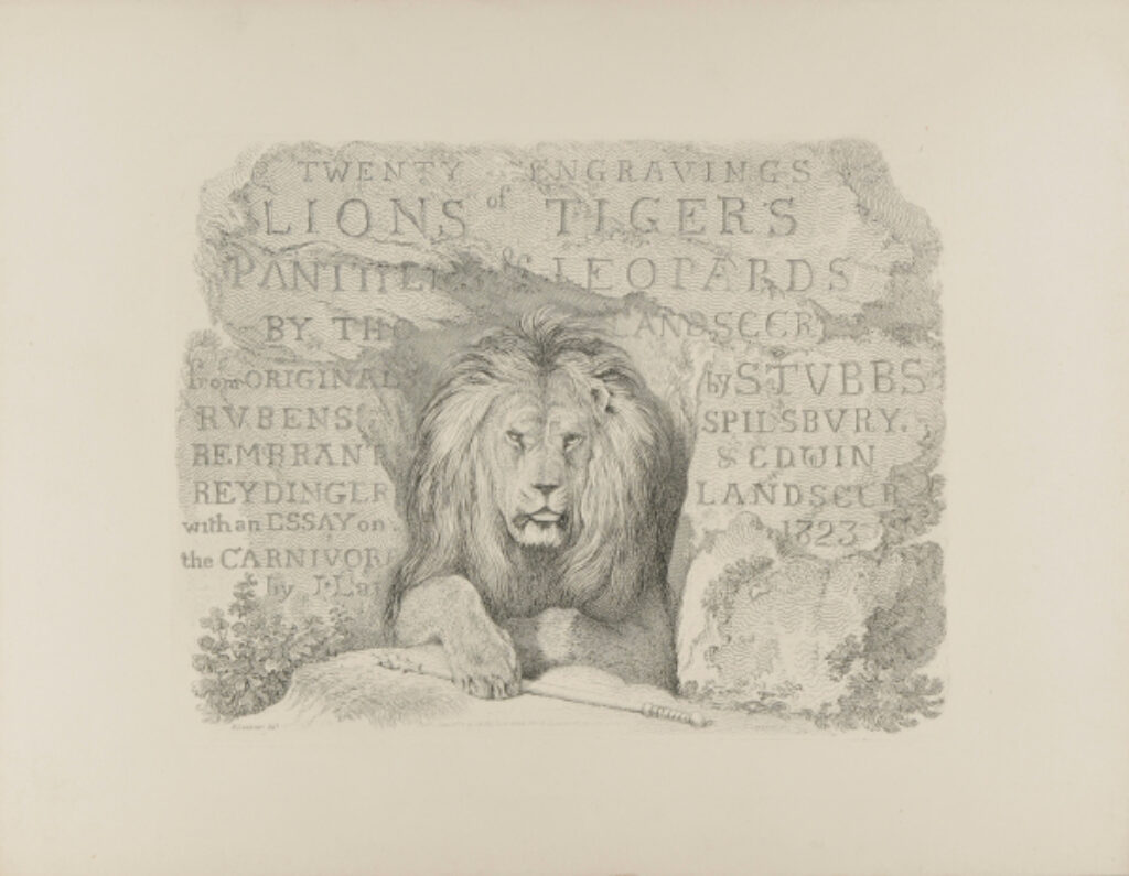 Cover for “Lions and Tigers”