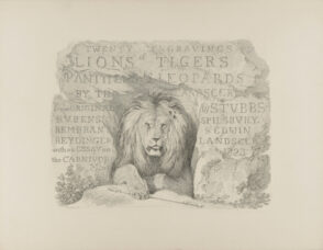 Cover for “Lions and Tigers”