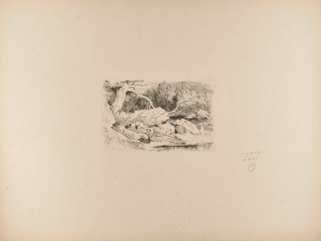 The Mountain Torrent