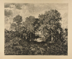 Une Mare – Forêt de Fontainebleau