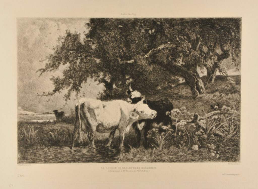 La Source de Neslette, en Normandie