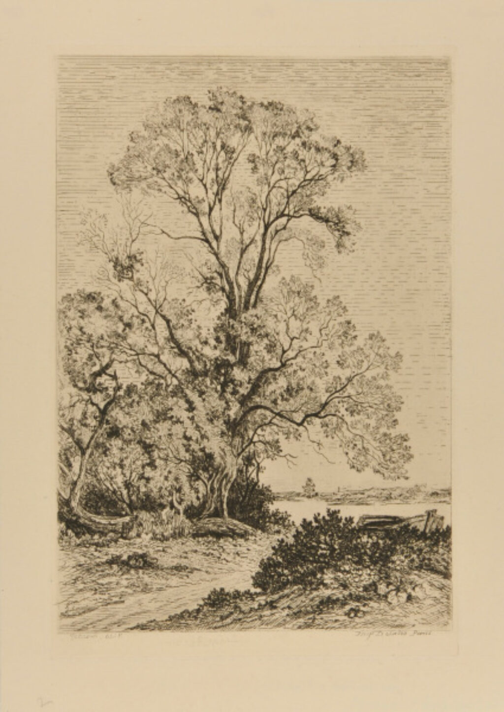 Les Saules à Neuilly