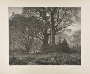 Forêt de Fontainebleau