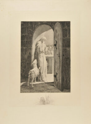 Illustration for Notre Dame de Paris (Esmeralda and her Goat in the tower of Notre Dame)