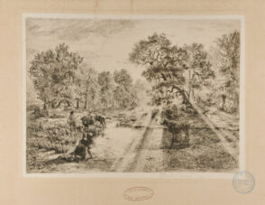 Boeufs traversant une mare