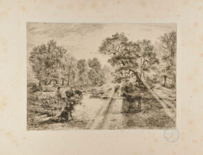 Boeufs traversant une mare