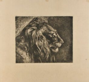 Tete de Lion (d’apres nature)