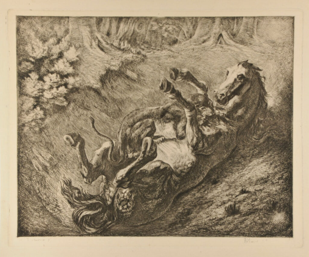 Tigre Devorant un Cheval