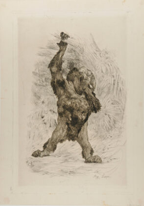 Orang-outang de Borneo