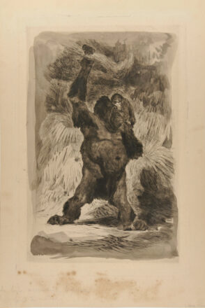 Orang-outang de Borneo