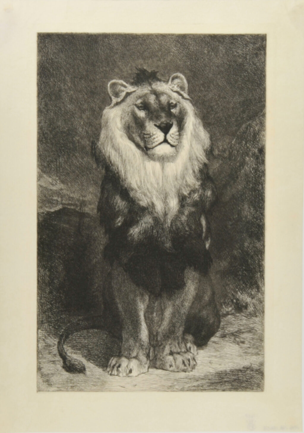 Lion Seated on its Haunches
