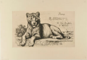 Cover for “Etudes d’Animaux”