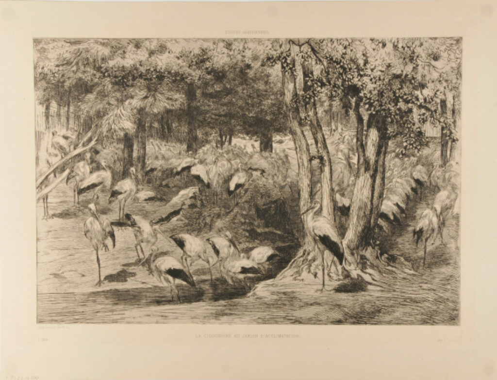 La Cigogniere au Jardin d’Acclimatation