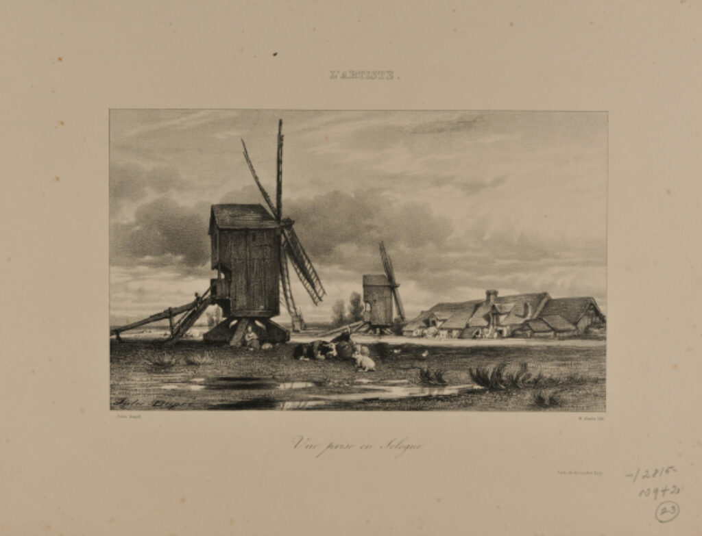 Vue prise en Sologne