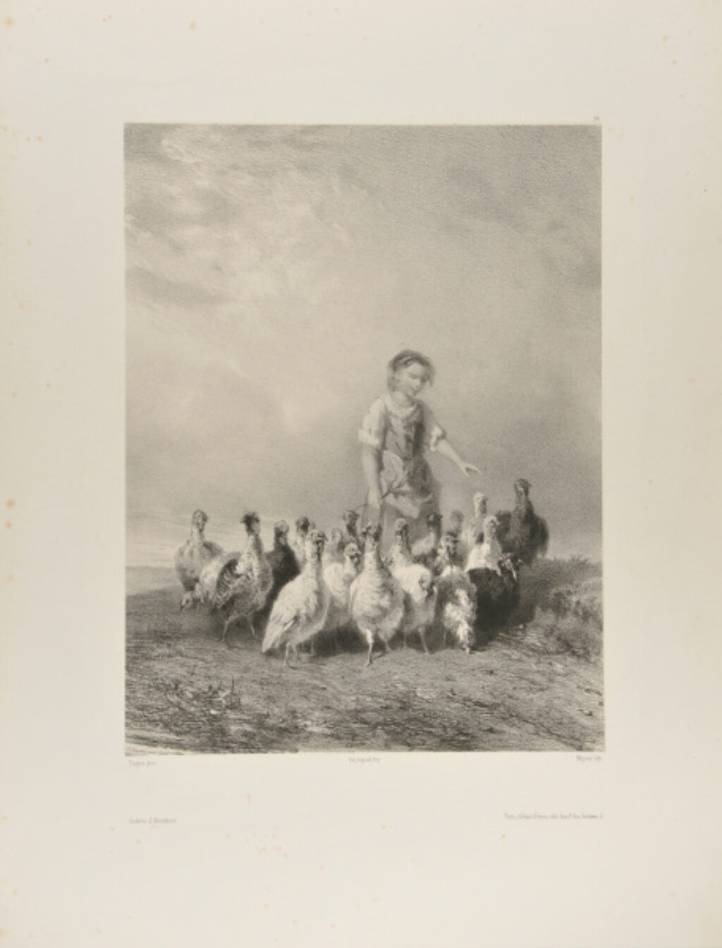 The Turkey Herder