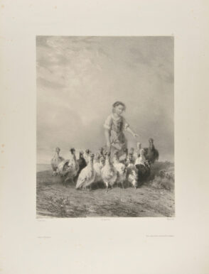 The Turkey Herder