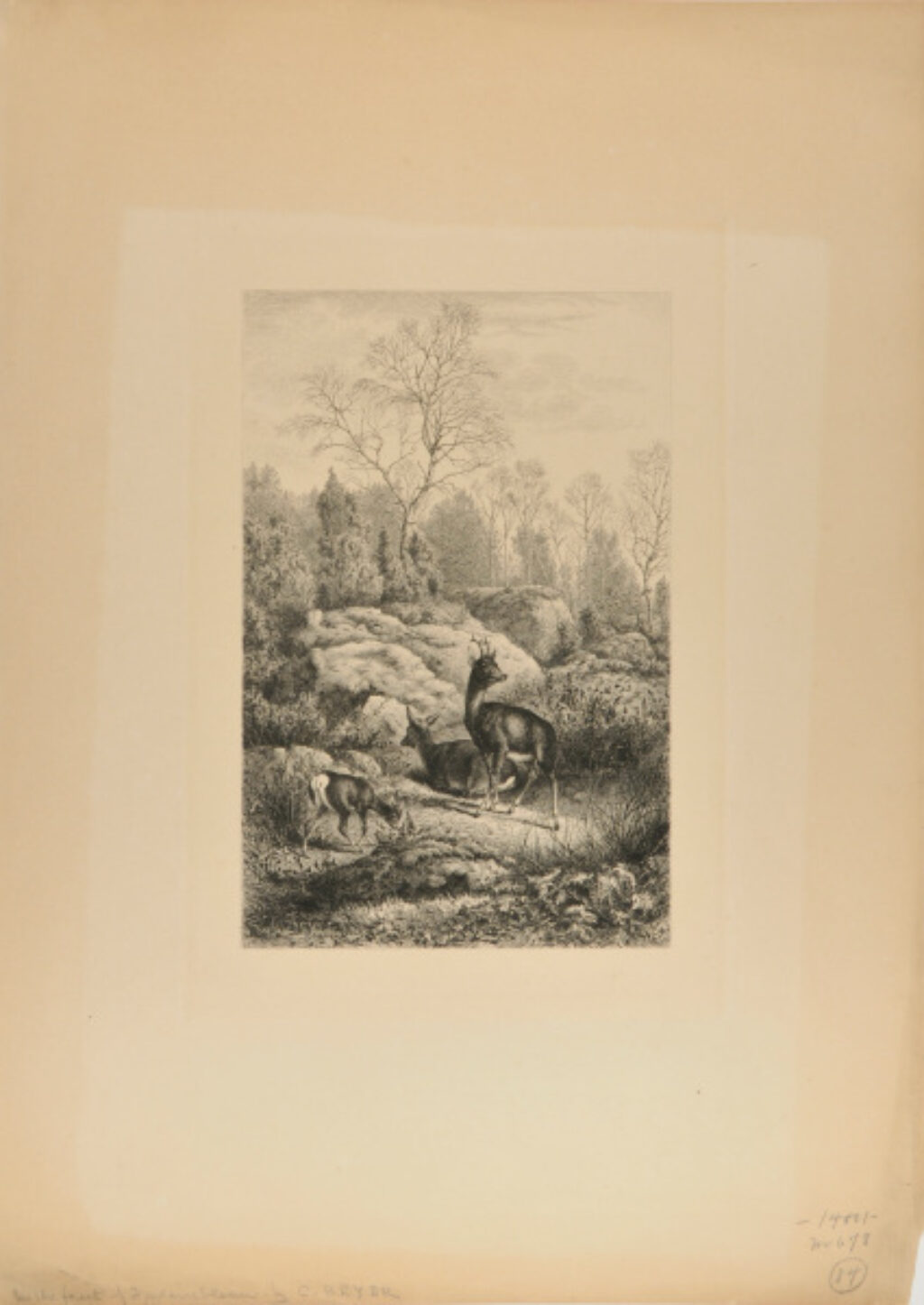 In the Forest of Fontainebleau