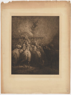 Sheep in a Barn