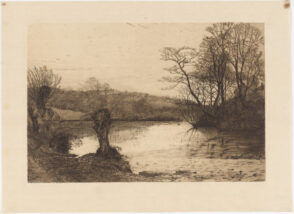 Pond Surrounded by Trees in Winter