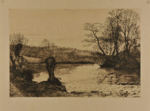 Pond surrounded by Trees in Winter