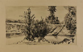 Two Stumps of Driftwood