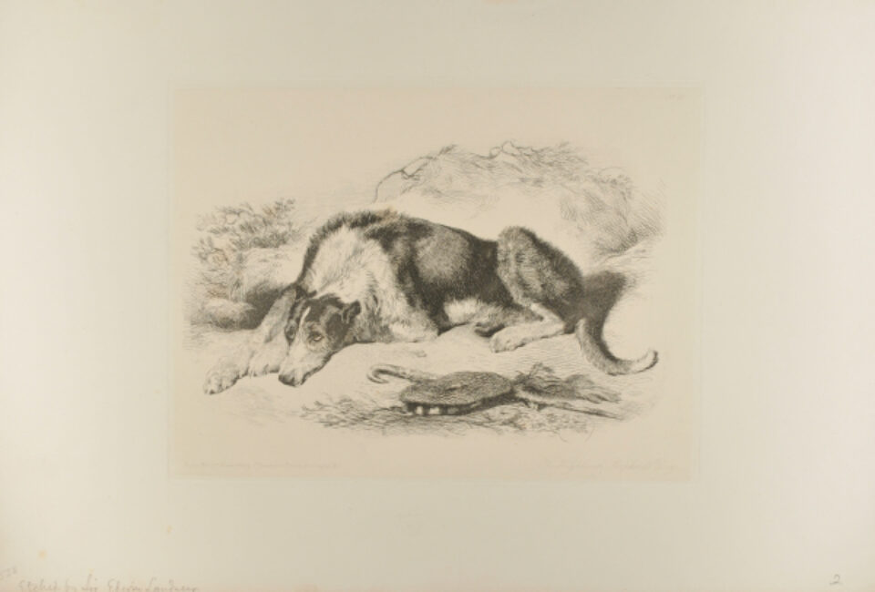 John Buckland-Wright