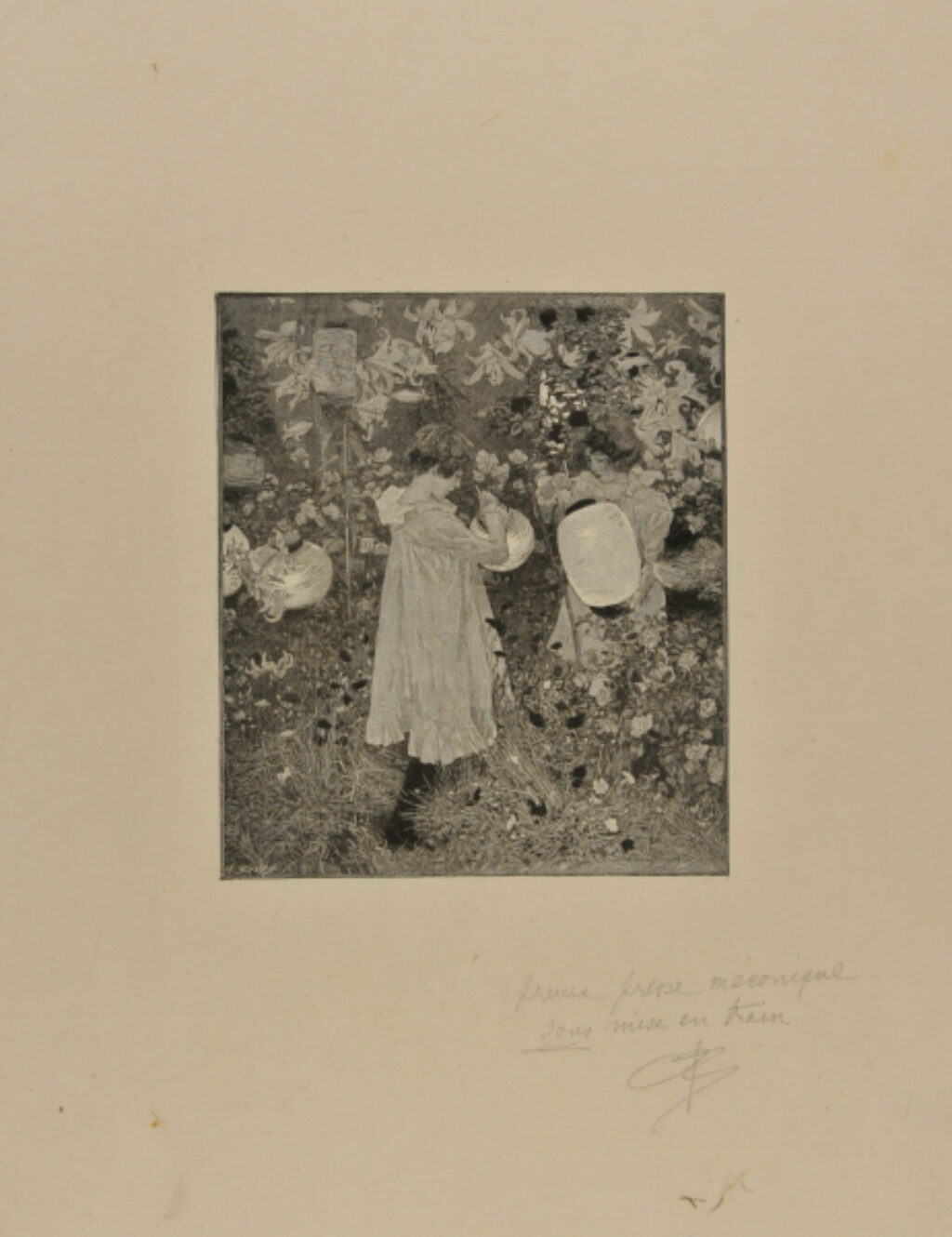 Carnation, Lily, Lily, Rose