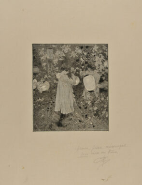 Carnation, Lily, Lily, Rose