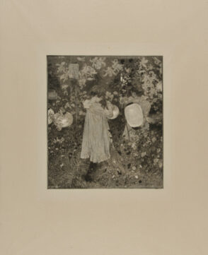 Carnation, Lily, Lily, Rose