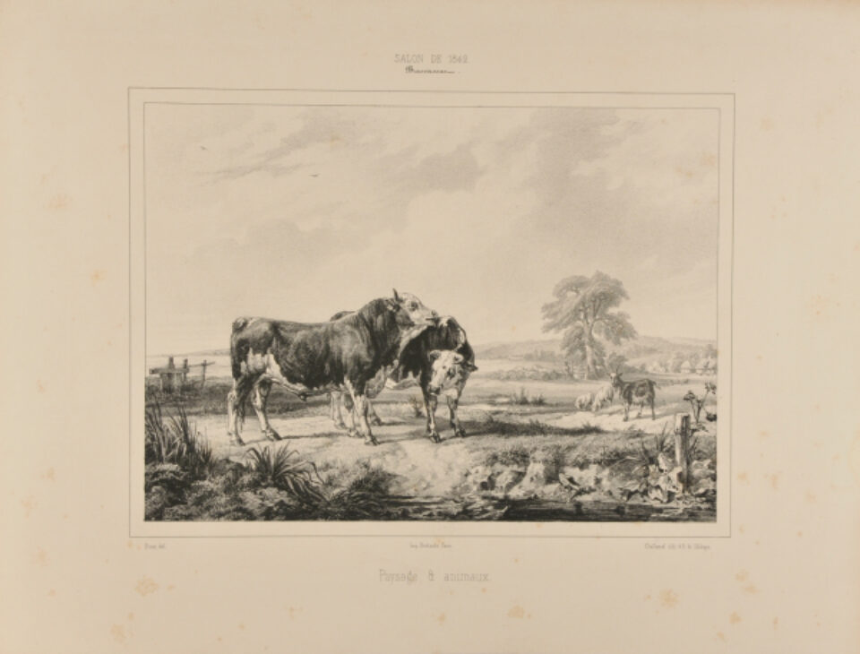 Jacques Raymond Bracassat