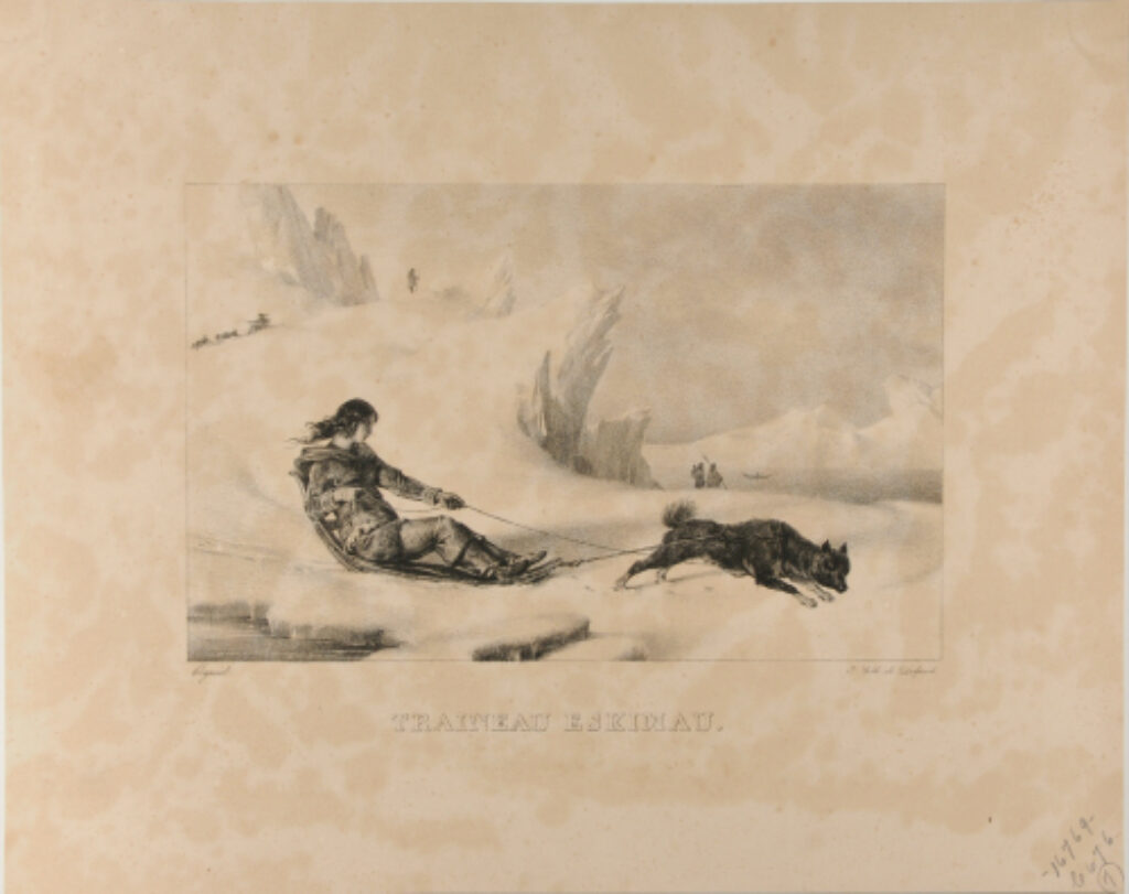 Traîneau Eskimau