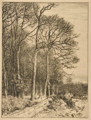 Paysage: Hiver – Lisière de forêt