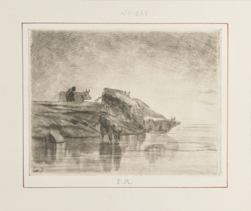 Vaches à l’abreuvoir