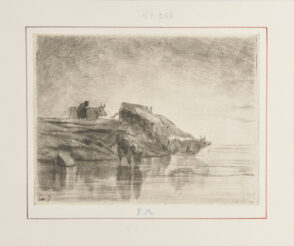 Vaches à l’abreuvoir