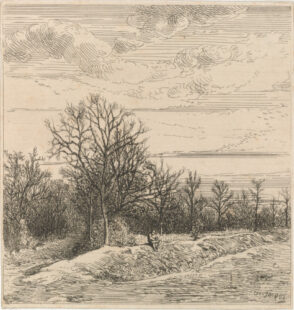 Lisière de Bois