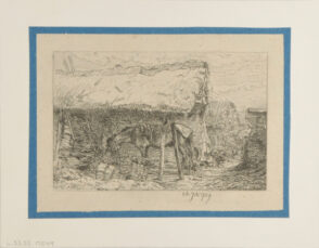 Cheval sous un hangar