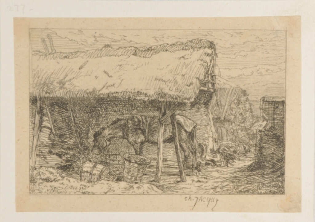 Cheval Sous un Hangar