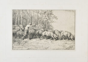 Troup de porcs sortant d’un bois