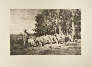 Troupeau à la lisière d’un bois