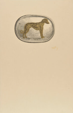 A Greyhound (Museo Nazionale, Florence)