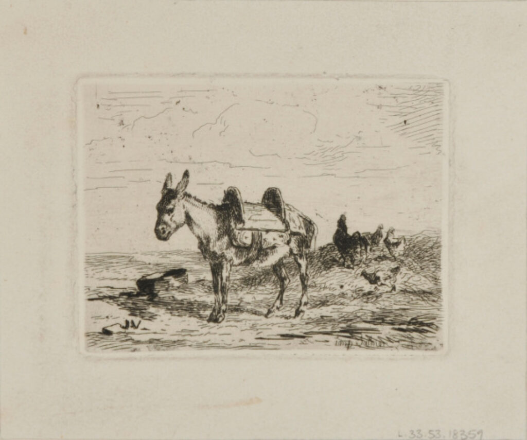 Ane et Poules from Eaux-fortes