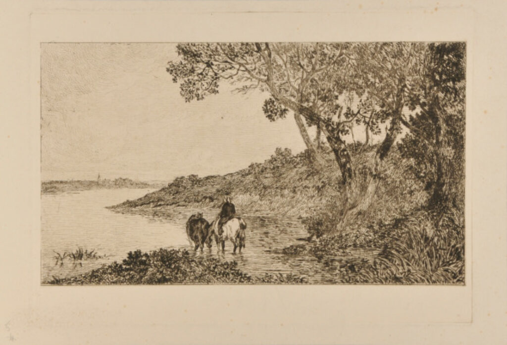 Chevaux au bord de la Seine