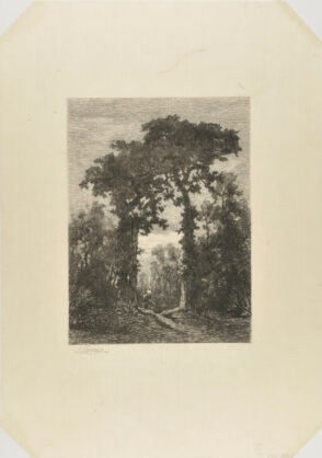 Woman gathering wood