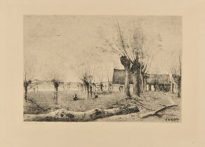 Saulaie à Sainte Catherine, Près Arras