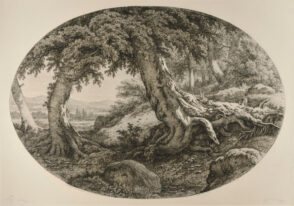 Le Gros tronc de Hêtre