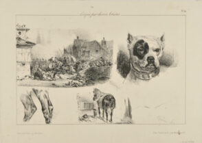 Croquis par divers Artistes: No.24: Army Charging; Head of a Dog; Horse Being Saddled etc.