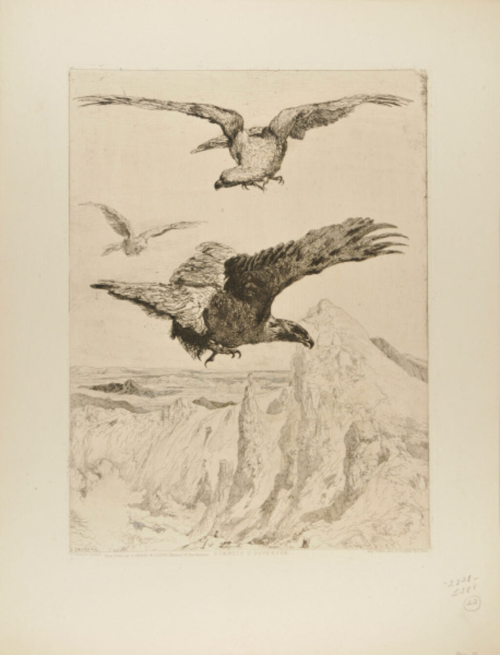 Sommets d’Auvergne